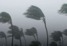 Clima em Crise: surge três Alertas Climáticos que não podem ser ignorados