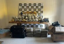 Ação conjunta da PRF e PM resulta em apreensão de mais de 150 kg de drogas e quatro armas
