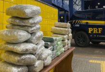Viagem turbulenta: casal é interceptado com 40 kg de drogas em fiscalizações