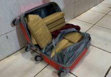 Operação da PRF na BR-364 termina com prisão de um homem e apreensão de 14 kg de drogas