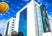 MPRO é reconhecido na categoria “Ouro” na campanha “Respeito e Inclusão no Combate ao Feminicídio”, promovida pela Corregedoria Nacional do CNMP