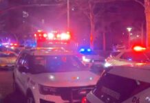 Famoso cineasta e esposa são encontrados mortos de forma brutal dentro de casa