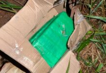 Carregamento de skunk é barrado em área portuária de Guajará-Mirim