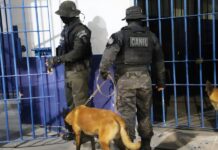 Ações simultâneas reforçam segurança em presídios de 11 municípios