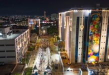 Ministério Público de Rondônia ilumina e encanta Porto Velho com o evento “Luzes da Nossa Terra”