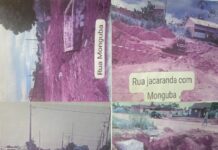 Obras paralisadas: Vereador Gedeão Negreiros cobra continuidade das obras no Parque Amazônia