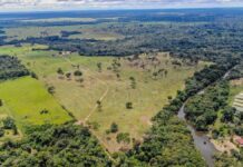 Atualização das regras do ITBI Rural reduz base de cálculo do imposto; veja o que muda