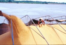 Hidrovias do Arco Norte consolidam-se como eixo estratégico para o agronegócio