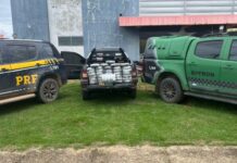 Quatro idividuos foram detidos e 42 kg de maconha apreendidos em grande operação conjunta