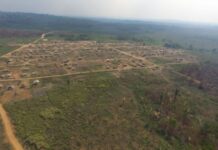 Bom Futuro: MPF aciona justiça e busca reverter doações de terras em Rondônia após devastação ambiental