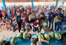 Laerte Gomes faz super entrega de implementos agrícolas para fortalecer produção rural em Costa Marques