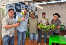 Jean Oliveira destina mais de 147 mil mudas de café para produtores de Rolim de Moura