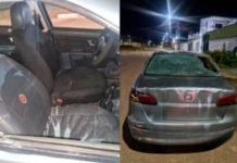 Homem Incontrolável Provoca Terror entre os Vizinhos e Destrói Propriedades