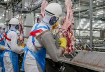 Governo de Rondônia Lança 2.377 Chances de Trabalho nesta Semana