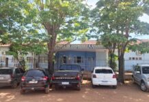 Com obras no Parque Circuito, vacinação de animais é feita na Divisão de Zoonoses