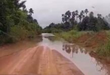 Deputado Alex Redano solicita recuperação urgente de estrada em Alto Paraíso