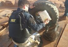 Operação da PRF na BR-364 resulta na apreensão de 60 kg de maconha
