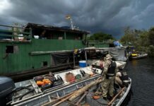 Operação em Rondônia combate crime; prende dois e apreende armas em área de preservação