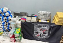 Quase meia tonelada de entorpecentes é apreendida pela PM em caminhão na BR-364