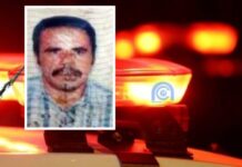 Pescador é encontrado morto em rio após ataque de abelhas em distrito de Porto Velho