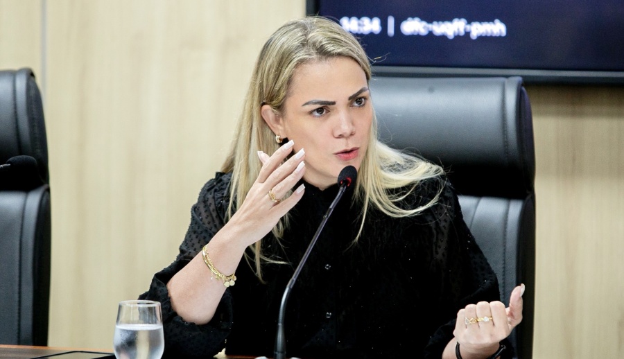 Plano de trabalho da CPI do Leite é apresentado pela deputada Cláudia de Jesus